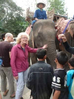 Elefant in Laos