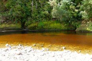 Sandflys am rostroten Fluss