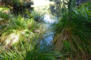 Zauberreich in Nelson ohne Sandflys